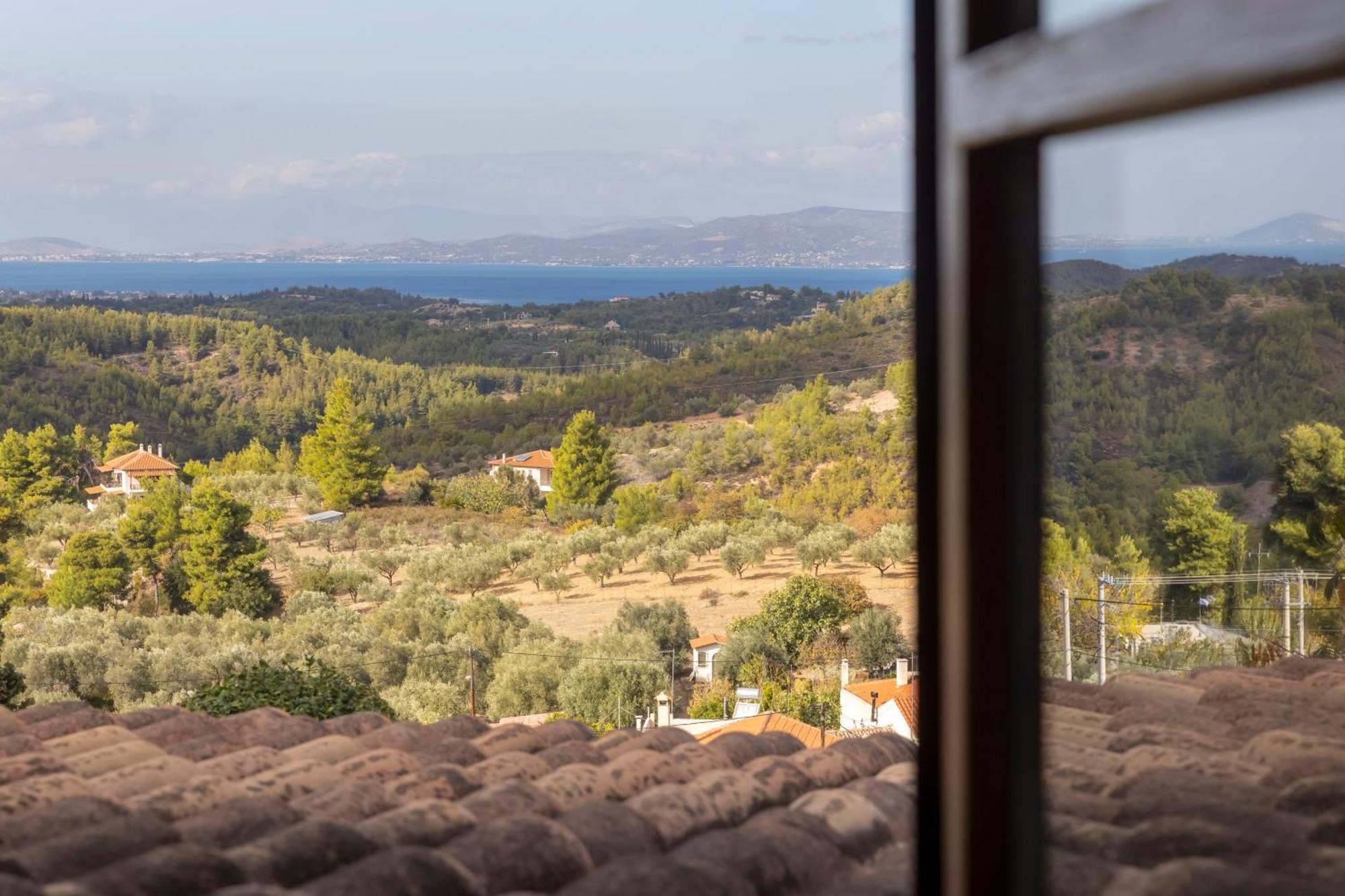 Villa Marrone Splendid Seaview Markopoulon Oropou Zewnętrze zdjęcie